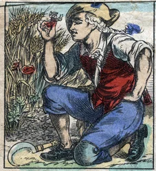Olbrzymi oracz z Brobdingnag schwytał Lemuela Guliwera. Ilustracja do „Podróży Guliwera” Jonathana Swifta (1667-1745). Obrazowanie epinal pod koniec XIX wieku.