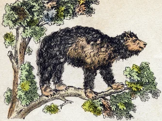 Unau (leniwy). Grawerowanie w „Alfabet des animaux sauvages””. 9. seria. Obraz Epinal, Pellerin, drukarz-wydawca, ok. 1870 r. Ryciny na drewnie, szablon. 16 stron. Wymiary: 20 x 15 cm. Prywatna kolekcja