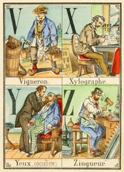 V X Y Z: Winiarz, Ksylograf, Oczy (okulista), Zingueur