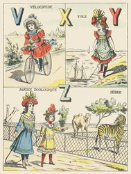 V X Y Z: welocyped, joł, ogród zoologiczny, zebra