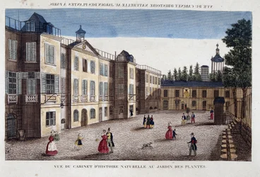 Widok gabinetu historii naturalnej w Jardin des Plantes w Paryżu - grawer