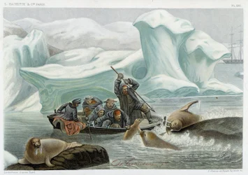 Polowanie na morsy - w „Le monde de la mer” Alfreda Fredola, Hachette, Paryż