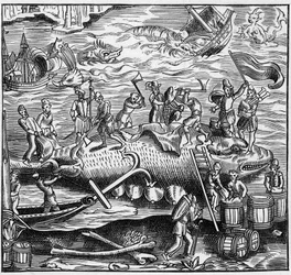 Połowy wielorybów na francuskim wybrzeżu Oceanu Atlantyckiego w średniowieczu. Grawerowanie w „La Marine et les colonies: commerce”