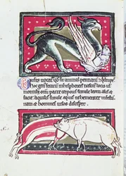 Dzik i Gryf, miniatura z Bestiariusza Saltykowchsh Edrin