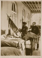 Ranny Chasseur całuje ukochanego Tricolora, 1914-19