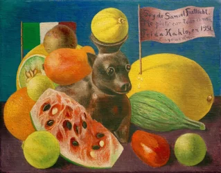 Martwa natura