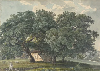 Pejzaż włoski z drzewami prosto, 1815-21.