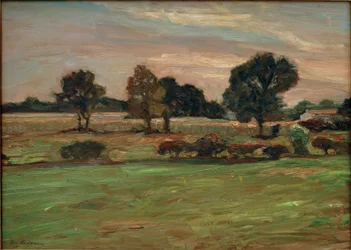 Krajobraz wrzosowiska