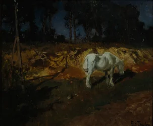 Koń Doktora (olej na płótnie)