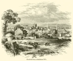 Hereford z Athelstane Hill