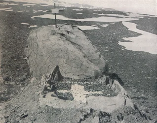 Hansens Grób Na Przylądku Adare, 1911, 1913