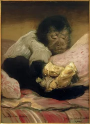 Zapominanie o bólu (III)