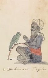 Um Mohametan com seu Parrotpolish