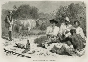 Grupa vaqueros grających w karty i pijących alkohol w pobliżu stad wołów, grawerowana według rysunku G. Vuilliera, ilustrująca historię De Cayenne aux Andes autorstwa Julesa Crevaux, lekarza marynarki francuskiej, w latach 1878-1879, opublikowana w tour du