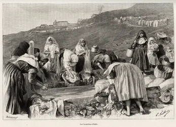 Lawenda z Osilo (Włochy), kobiety zebrały się wokół basenu. Grawer i opowiadanie „La Sardaigne” Gastona Vuilliera (1845-1915), w 1890 r. w Le tour du monde, nouveau journal des voyages, pod kierunkiem Edouarda Chartona (1807-1890), 2. semestr
