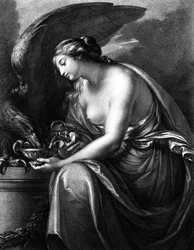 Hebe, grawerowane przez Domenico Cunego
