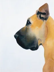 Dog niemiecki, 2016 (olej na płycie)