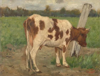 Krowa