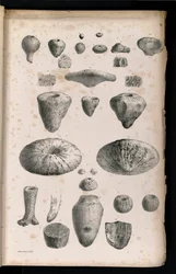 Tabela 006