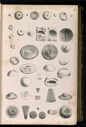 Tabela 014
