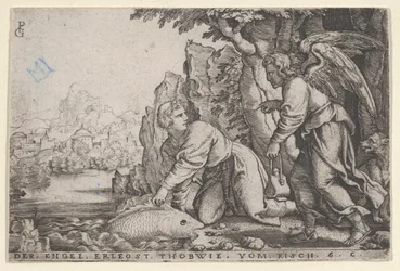 Tobiolus łapie rybę, z Historii Tobiasza, 1543.