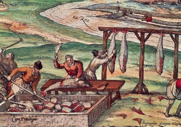Przetwórstwo tuńczyka, miniatura z Miast Świata, Georg Braun i Franz Hogenberg
