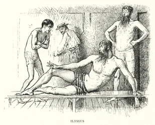 Ilustracja do Trilby autorstwa George du Maurier (grafika)