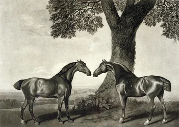 Dwóch Łowców, grawerowane przez G.T. Stubbs (bap.1748-c.1815) (lito) (patrz także 266802)