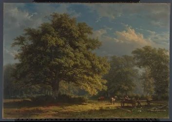 Widok na las Bentheim