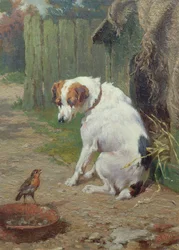 Witamy gościa