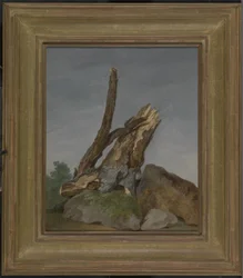 Studium skał i gałęzi, ok. 1795 (olej na papierze)