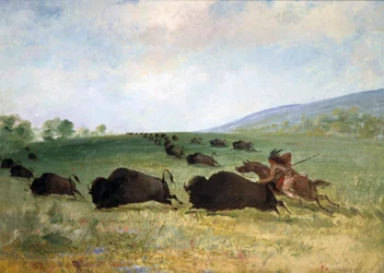 Indianin Osag nabijający bawoła, 1846-1848.