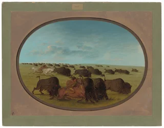 Buffalo Chase, z wypadkami