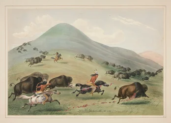 Polowanie na bawoły, Chase, pl. 6 z portfolio Indian Ameryki Północnej
