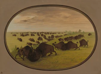 Walka byków, 18611869.