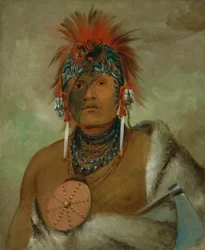 Wá-hón-ga-shee, Żaden głupiec, Wielki Fop