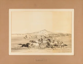 Wild Horses at Play - nr. 3