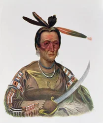 To-Ka-Cou, wódz Yankton Sioux, 1837, ilustracja z „Indiańskich plemion Ameryki Północnej, tom 1”, Thomasa L. McKenneya i Jamesa Halla, wyd. przez Johna Granta