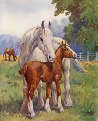 Dumna matka (kolorowa litografia)