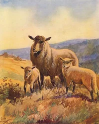 Lulu i jego matka (kolorowa litografia)