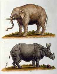Grawerowana ilustracja przedstawiająca George