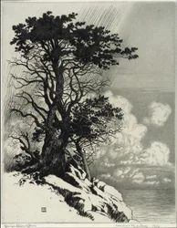 Wybrzeże w Monterey, Kalifornia