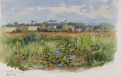 Criccieth, Płn. Walia, 1899.