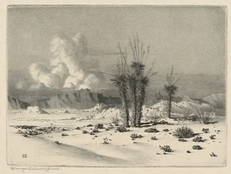 Wieczór, Arizona