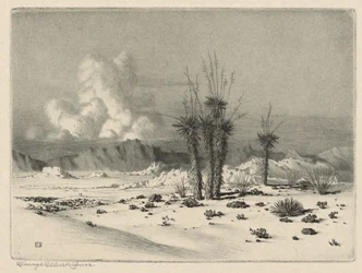 Wieczór, Arizona