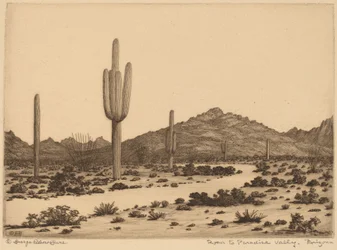 Droga do Paradise Valley, Arizona