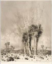 Wiosna, Paradise Valley, Arizona