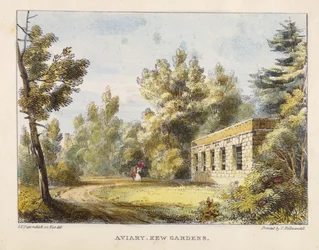 Woliera, Kew Gardens, tablica 10 z Kew Gardens: A Series of Twenty-Four Drawings on Stone, grawerowane przez Charlesa Hullmandela (1789-1850) wydane w 1820 r. (litografia ręcznie kolorowana)