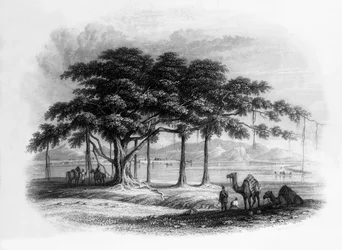 „Obóz Runjeeta Singha w Roopur, nad rzeką Sutlej”, 1838.