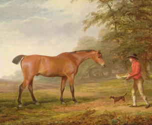 Gniady koń, do którego zbliża się stajenny z pożywieniem i kantarem, 1789